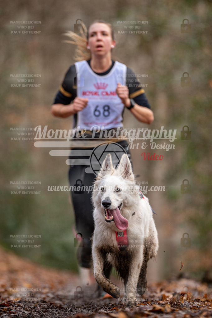 SPA_2023_DIM_CCL-145 | PayLife