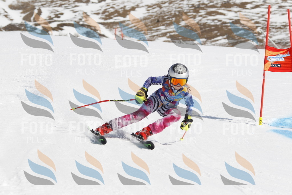 _U3G0021 | holidayphoto