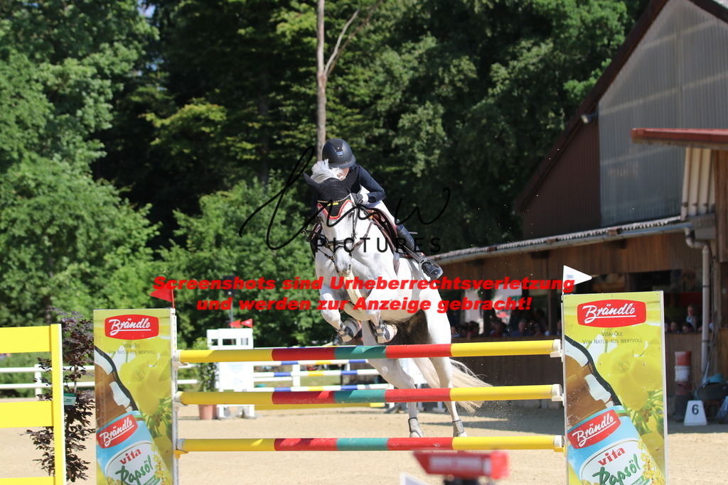 IMG_3059 | lmwpictures - Realisiert mit Pictrs.com