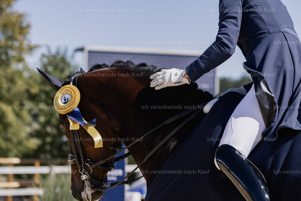 FHC2026_P12_Siegerehrung_19717 | working equitationturnier fotograf videograf stoibphotography marixx film working equitation deutschland reitsport turnierfotografie eventfotografie equestrian events
