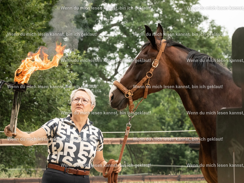 598A7987 | photographylinaismer - Realisiert mit Pictrs.com