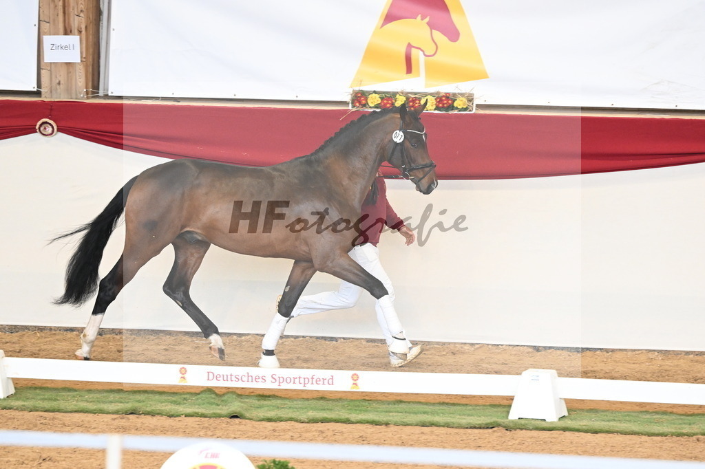 Kat.-Nr. 77 v. Taurus_Casper und Eulich_3261044 | hf-fotografie - Realizzato con Pictrs.com