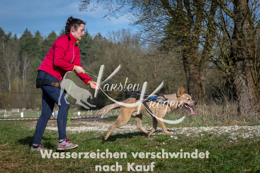 0906_ZZ91176 | kk-dogfotos