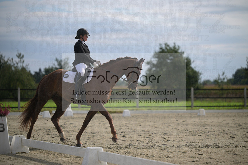 DOS_2537 | Entdecke hochwertige Reitturnierfotos von Foto Oger. Professionell, emotional und authentisch – jetzt Lieblingsmomente im Shop bestellen.Deutschlandweite Turnierfotografie. - Realisiert mit Pictrs.com