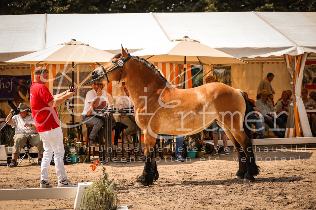 2.Sa00027 | Leoni Ertmer Photography - Realisiert mit Pictrs.com