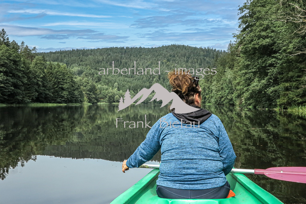 IMG_1954-Bearbeitet | die Flusslandschaft am Regen im Bayerischen Wald wird auch als Bayerisch Kanda bezeichnet
