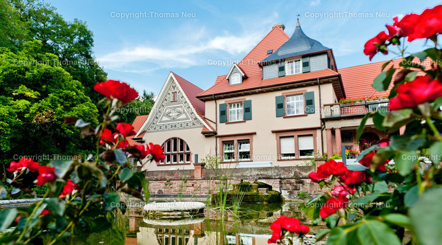 Mai_Caritasheim | Die prachtvolle Villa Eulenhorst in der Heidelberger Straße 50 wurde 1912/13 von Heinrich Metzendorf für Kommerzienrat Wilhelm Julius Euler errichtet. Heute beherbergt die ehemalige Familienvilla das Seniorenheim St. Elisabeth der Caritas – ein Beispiel für überlieferte Architektur mit sozialer Heute-Funktion