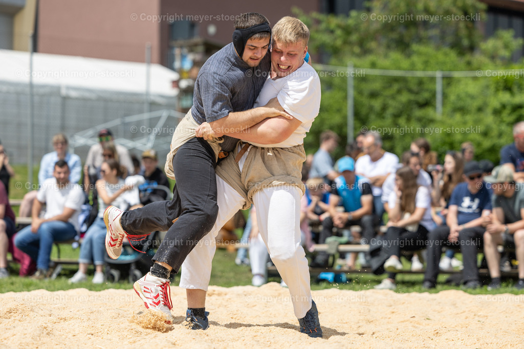 R3_28132 | meyer-stoeckli