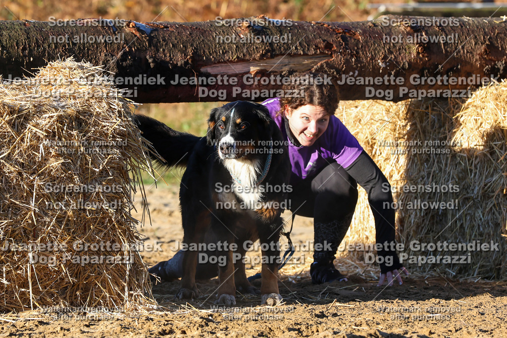 Dog Paparazzi - Strongdog 10-25-1070 | Dog Paparazzi Jeanette Grottendiek Fotografie & Videografie - Realisiert mit Pictrs.com