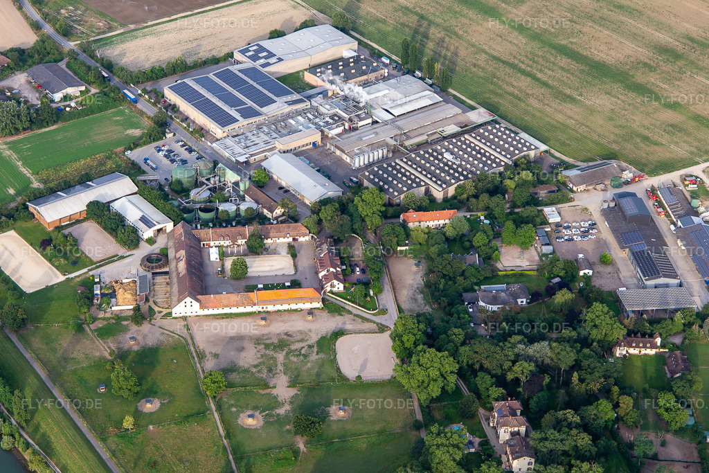 Luftbild: Intersnack Deutschland SE Werk Petersau und Reitanlage Carlo von Opel im Ortsteil Mörsch in Frankenthal im Bundesland Rheinland-Pfalz in Deutschland.Foto: IMG_142758.jpg vom 19.07.2024 durch Werner Riehm/FLY-FOTO.deWWW.INTERSNACK.DEWWW.HOFGUT-PETERSAU.DE