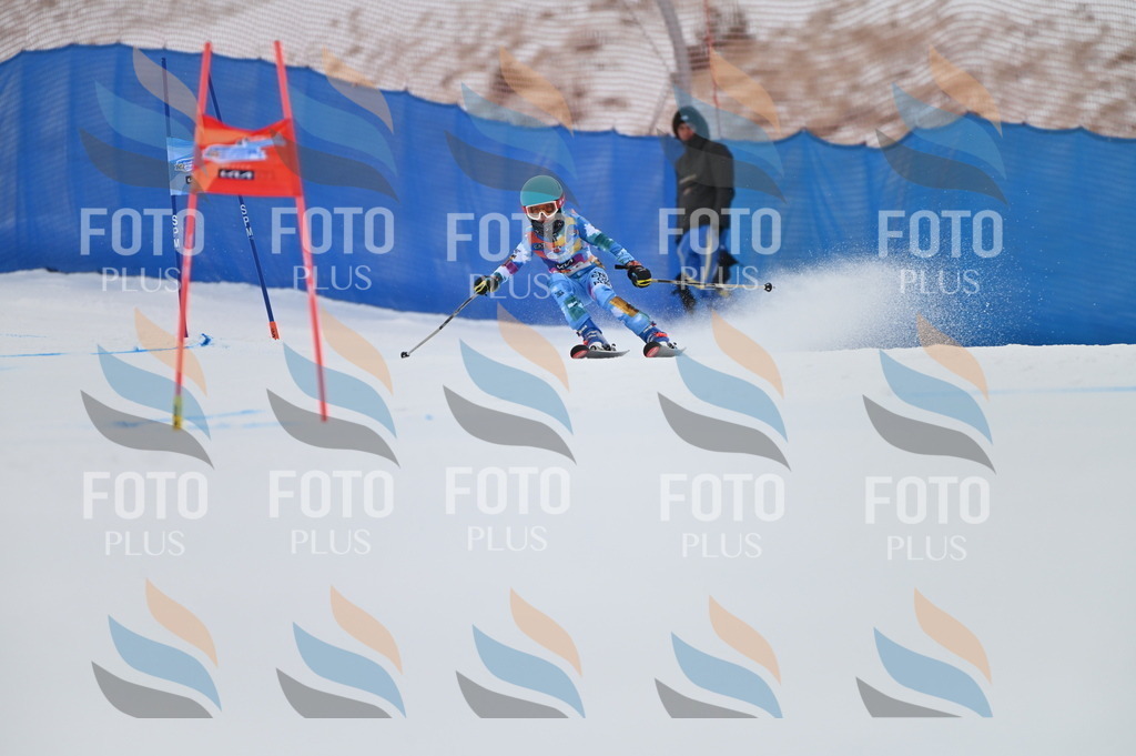 BGV_1011 | holidayphoto