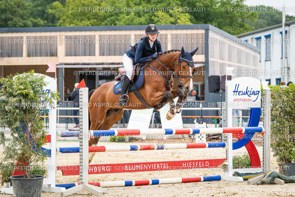 DSC09814 | Pferdegrafie