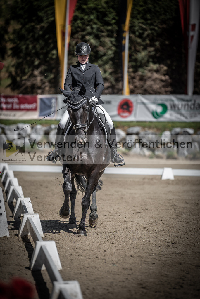 DSC_0142 | equestrian-live-com