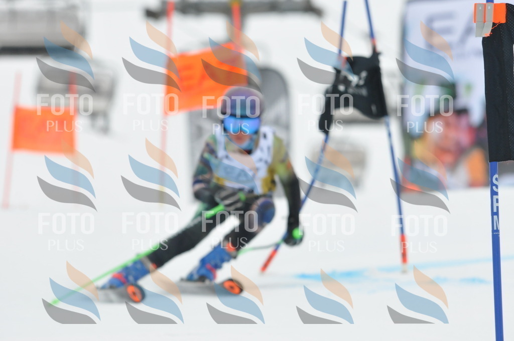 DSC_8467 | holidayphoto