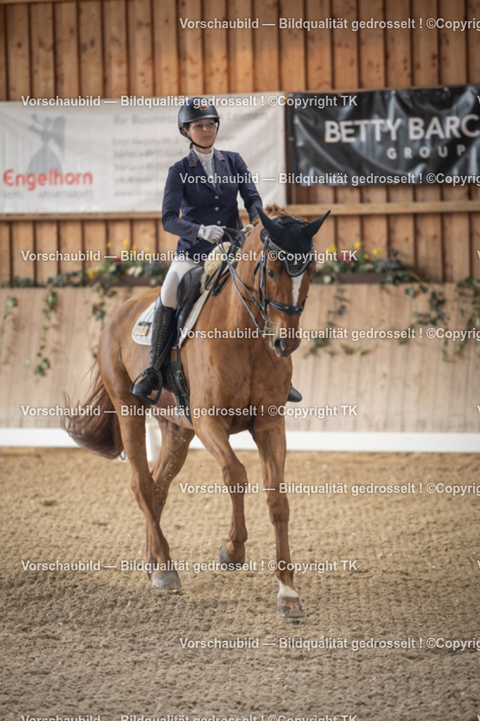 _D5A5812 | Emotionale Pferde- & People-Fotografie rund um Heidelberg, Leimen & Umgebung. Natürliche Fotos von Pferd, Mensch & Familie. Jetzt Termin sichern!