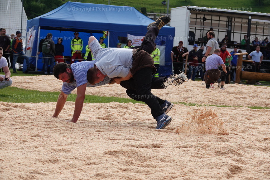 DSC00667 | Schwingen - Realisiert mit Pictrs.com