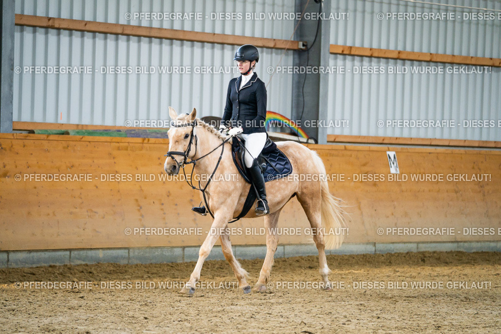 DSC00845 | Pferdegrafie