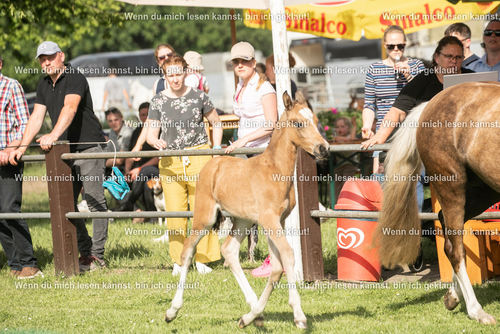 598A6956 | photographylinaismer - Realisiert mit Pictrs.com