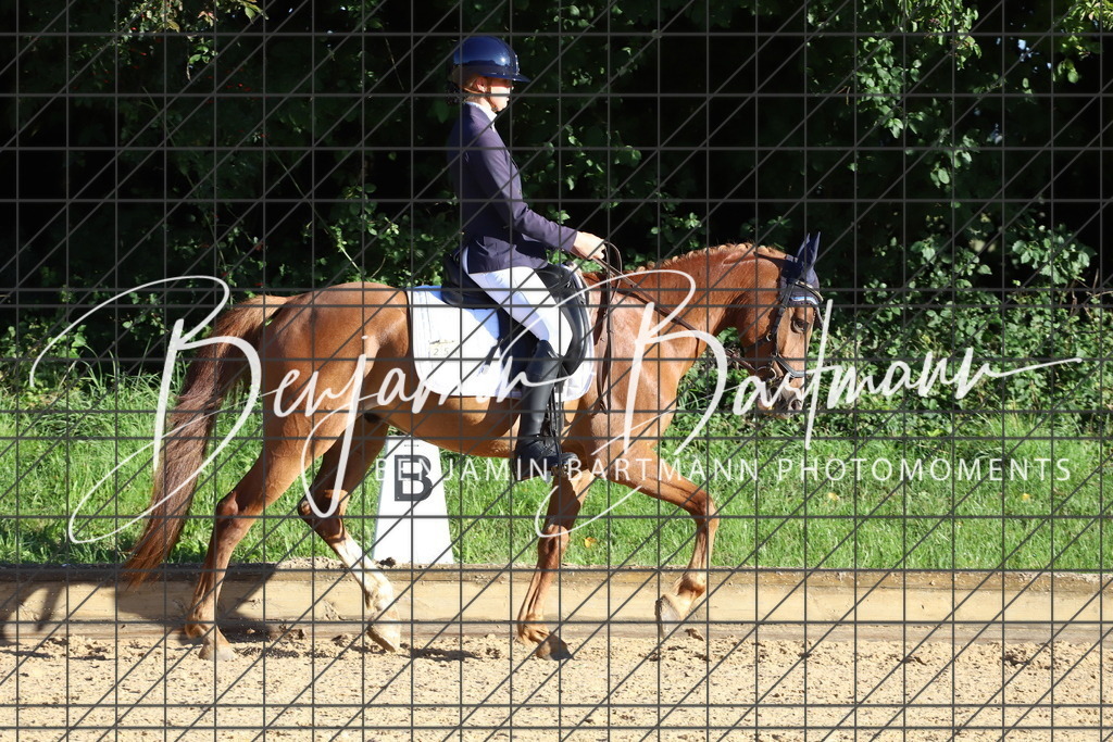 IMG_4657 | Benjamin Bartmann Photomoments