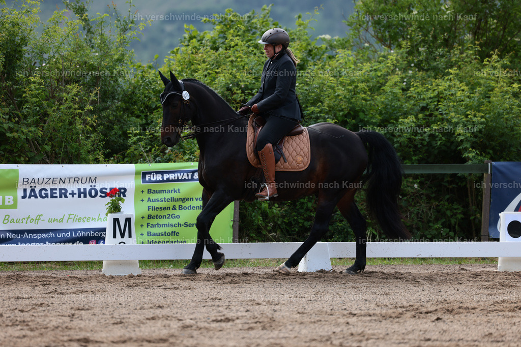 KlasseL_Stoibphotography_CAM21012.JPG | working equitationturnier fotograf videograf stoibphotography marixx film working equitation deutschland reitsport turnierfotografie eventfotografie equestrian events