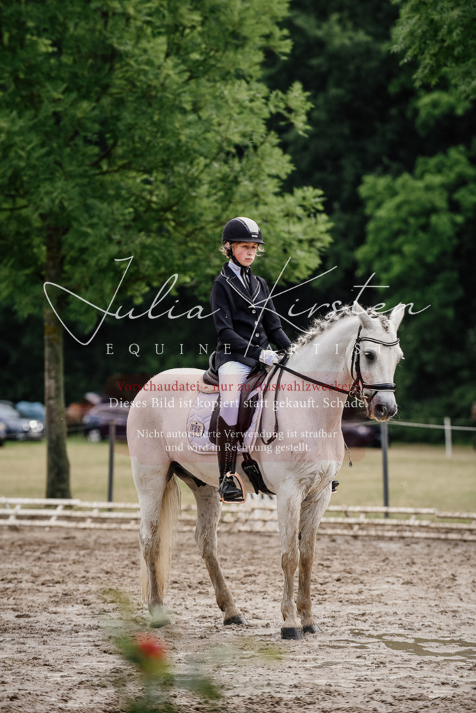 DSC_9426 | Pferde- und Turnierfotografie in Westsachsen. Pferdeportraits, Auftragszeichnungen und intuitive Kunst.