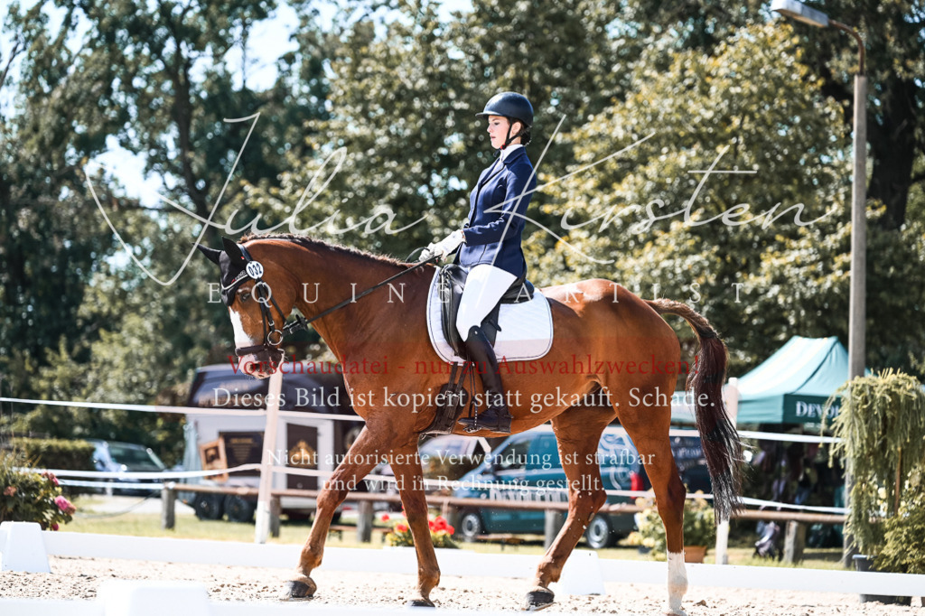 DSC_5519 | Pferde- und Turnierfotografie in Westsachsen. Pferdeportraits, Auftragszeichnungen und intuitive Kunst.