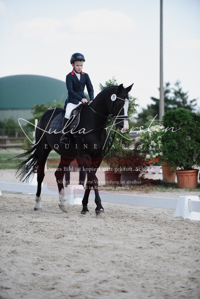 DSC_9962 | Pferde- und Turnierfotografie in Westsachsen. Pferdeportraits, Auftragszeichnungen und intuitive Kunst.