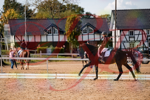 2026_10_03_Siefer-Hof_133657_Z63_98874062 | Professionelle Reitsport-, Turnier- und Eventfotografie von Robert Broda. Galerien mit ausgewählten und bearbeiteten Bildern direkt online ansehen und bestellen.