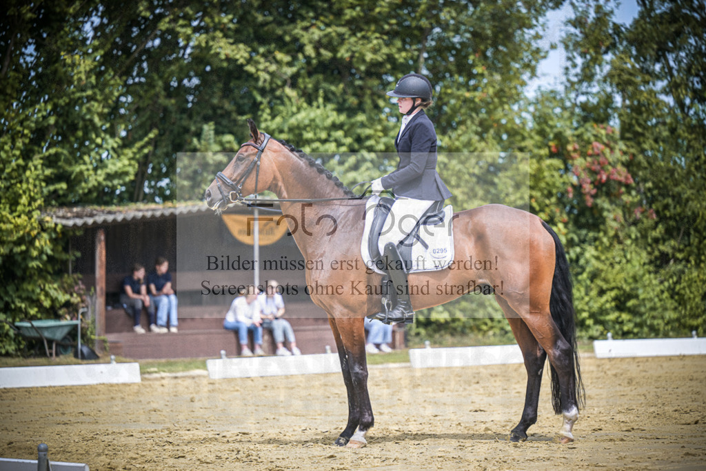 DOS_3073 | Entdecke hochwertige Reitturnierfotos von Foto Oger. Professionell, emotional und authentisch – jetzt Lieblingsmomente im Shop bestellen.Deutschlandweite Turnierfotografie. - Realisiert mit Pictrs.com
