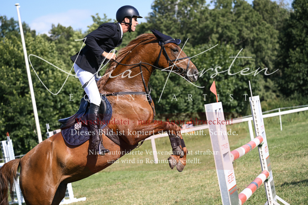 DSC_1477 | Pferde- und Turnierfotografie in Westsachsen. Pferdeportraits, Auftragszeichnungen und intuitive Kunst.