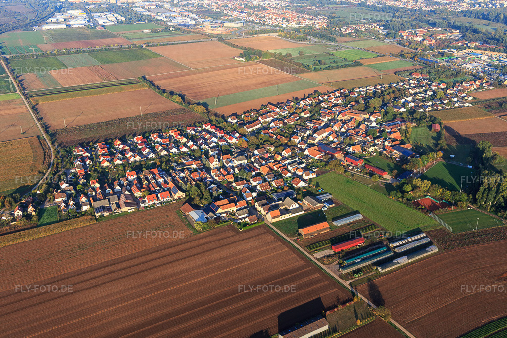 Luftbild: Ortsansicht von Westen im Ortsteil Mörlheim in Landau im Bundesland Rheinland-Pfalz in Deutschland. Foto: IMG_129823.jpg vom 10.10.2021 durch Werner Riehm/FLY-FOTO.de