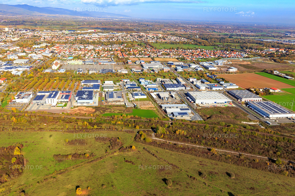 Luftbild: Gewerbegebiet Alber-Einstein.-Straße aus Süden im Ortsteil Queichheim in Landau im Bundesland Rheinland-Pfalz in Deutschland. Foto: IMG_104336.jpg vom 31.10.2017 durch Werner Riehm/FLY-FOTO.de