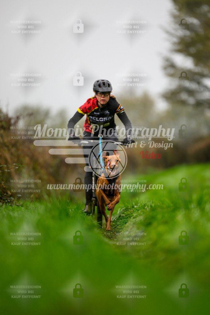 MompixPhotography_20TSB_E8_Bike-72 | PayLife