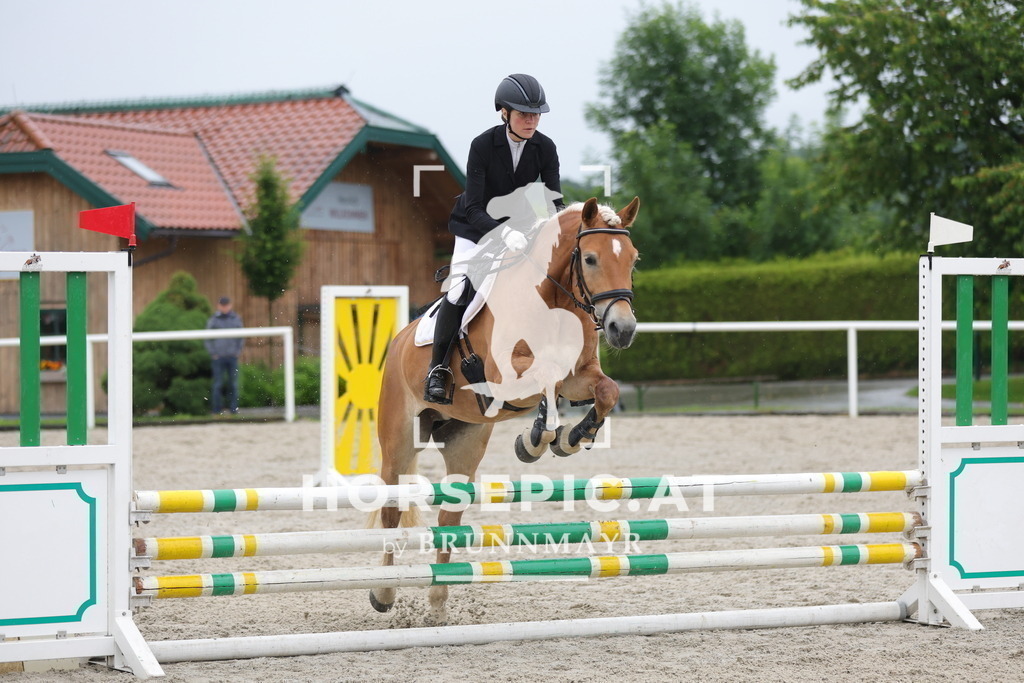 0P6A7951 | Willkommen bei Brunnmayr - Design & Fotografie – Ihrem Spezialisten für Reitturniere und Pferdeveranstaltungen in Oberösterreich, Salzburg und Bayern! Seit über 17 Jahren sind wir leidenschaftlich dabei.