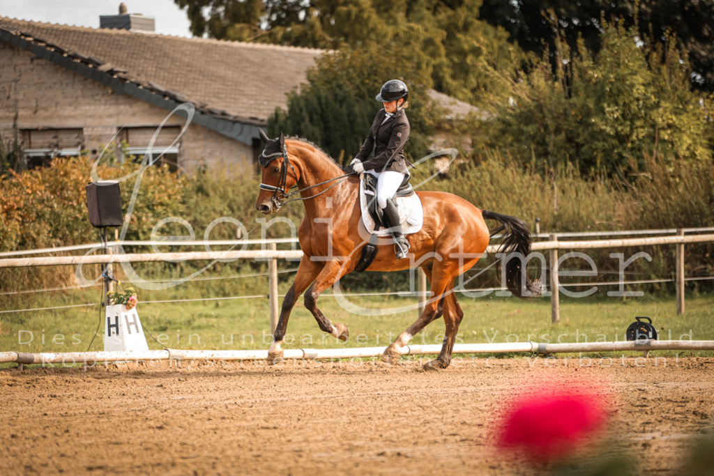 17.SoDrM00078 | Leoni Ertmer Photography - Realisiert mit Pictrs.com