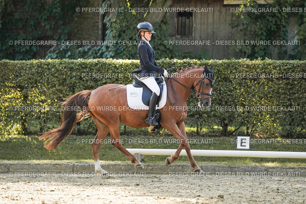 DSC06109 | Pferdegrafie