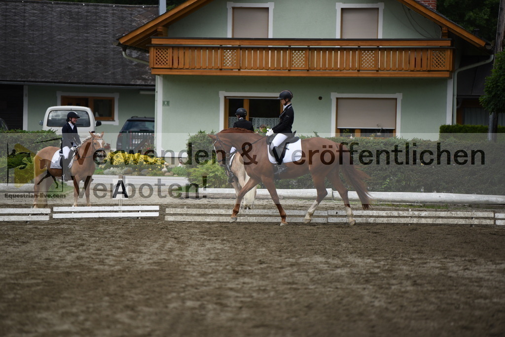 DSC_5093 | equestrian-live-com