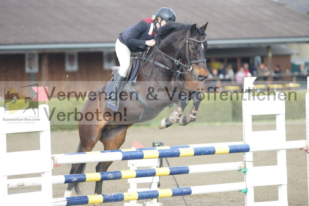 DSC01855 | equestrian-live-com