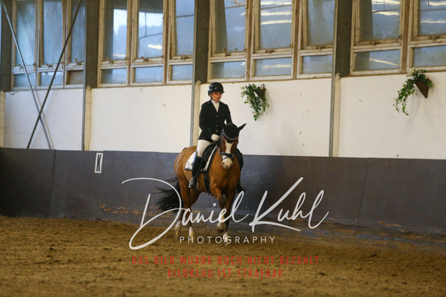 IMG_7145 | Turniersportfotografie; Pferdefotografie; Dressurfotografie