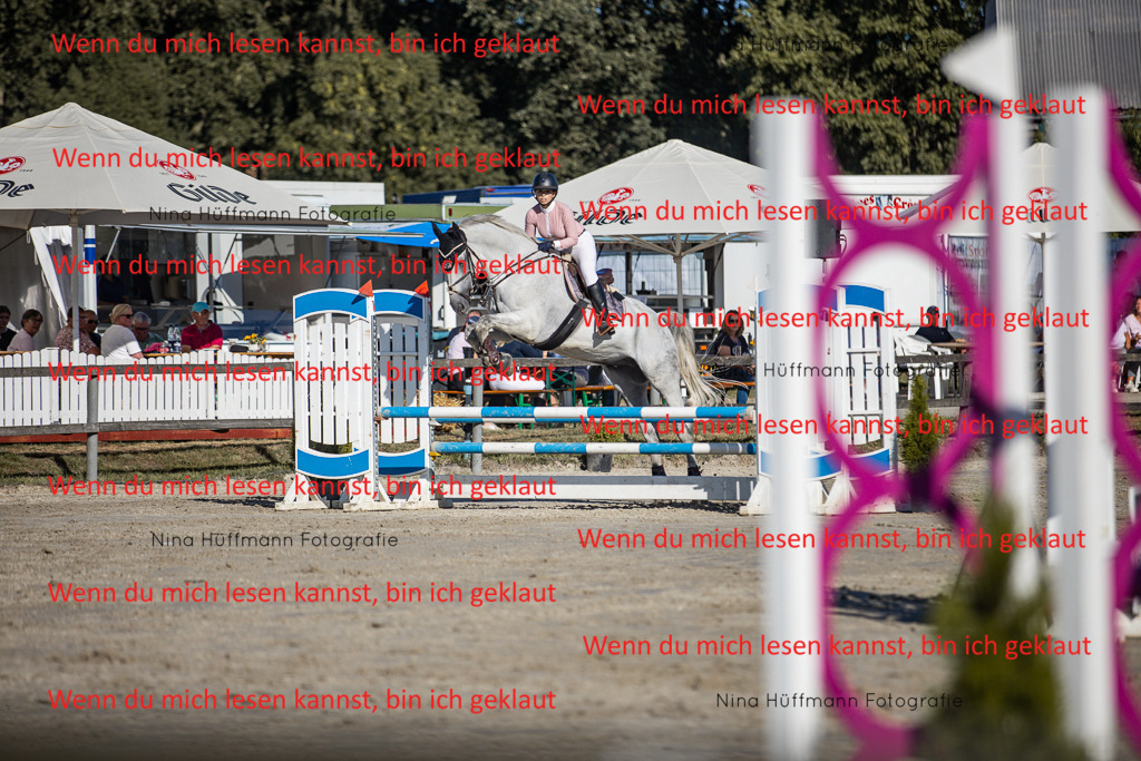 BK1A7561 | Turnierbilder Turnierfotos Nina Hüffmann Turnierfotografie Pferdefotografie Tierzeichnung Haustierzeichnung Pferdezeichnung Hundezeichnung Videograf  - Realisiert mit Pictrs.com