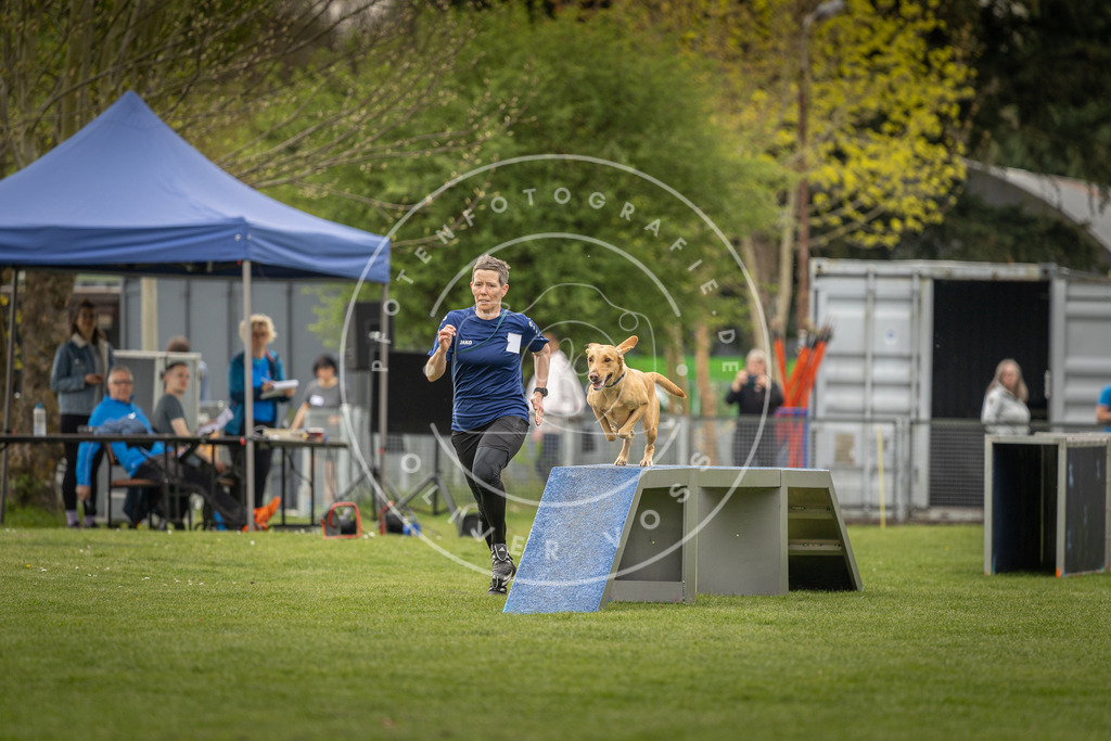 Pfotenfotografie_DV3A7021 | Hundefotografie, Tierfotograf, Pfotenfotografie, Fotoshooting Hund, Hunde Portrait, Hundesport, Hundeportraits, Heideshooting, Hunde, Sportfotograf, Hundefotograf, Turnierhundsport, THS,  - Realisiert mit Pictrs.com