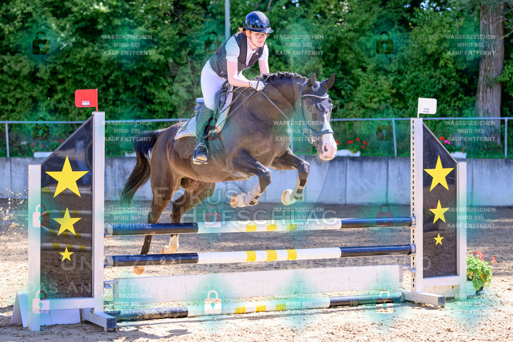 29082026-Giesenbach-Prfg10-0243 | Fokus Hufschlag Fotografie - Realisiert mit Pictrs.com