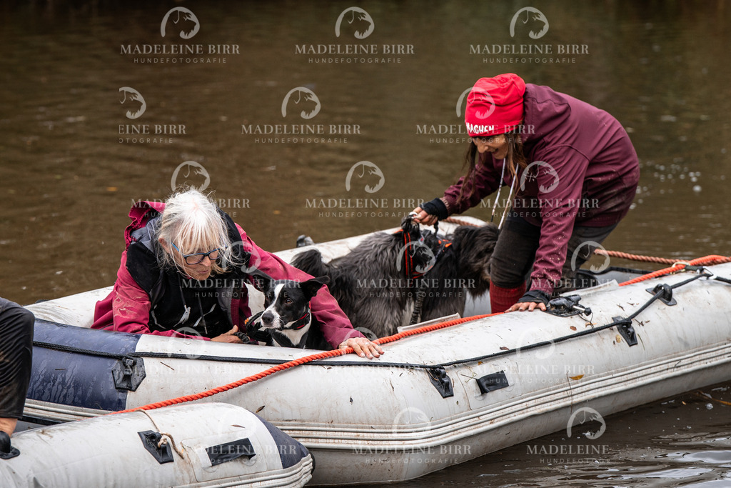 madeleinebirr-fotografie2025.campcanis.11-12Uhr-81 | hundefotografie-birr