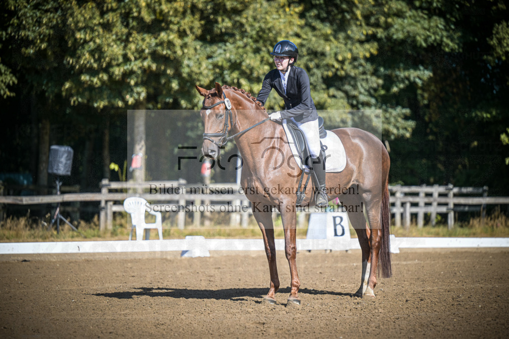 DOS_2314 | Entdecke hochwertige Reitturnierfotos von Foto Oger. Professionell, emotional und authentisch – jetzt Lieblingsmomente im Shop bestellen.Deutschlandweite Turnierfotografie. - Realisiert mit Pictrs.com