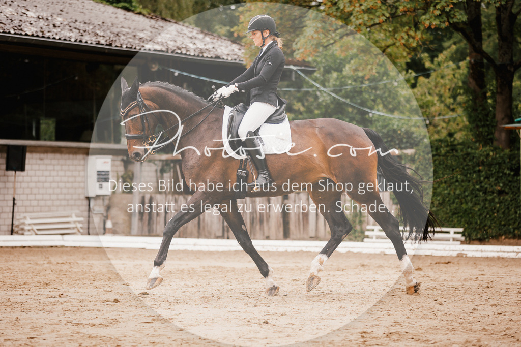 3I6A7822 | Stimmungsvolle Portraits und Reitsportfotografie im Ruhrgebiet und im Münsterland.

Pferdefotografie, Hundefotografie, Tierfotografie, Reportagen, Portraits von Tier und Mensch, Turnierfotografie in Bochum, Recklinghausen, Marl, Haltern am See, Dülmen.. - Realisiert mit Pictrs.com
