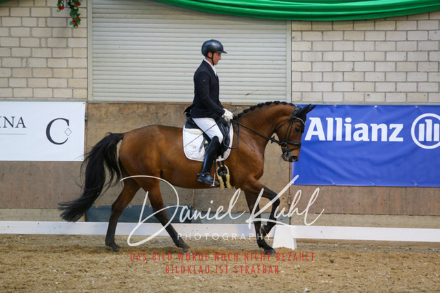 IMG_2762 | Turnierfotos kaufen im Webshop von Daniel Kuhl Photography – entdecke professionelle Reitsportfotos aus Turnieren & Events. Hochwertige Turnierbilder online bestellen & sichern. Jetzt Fotos von Reitsportturnieren kaufen!