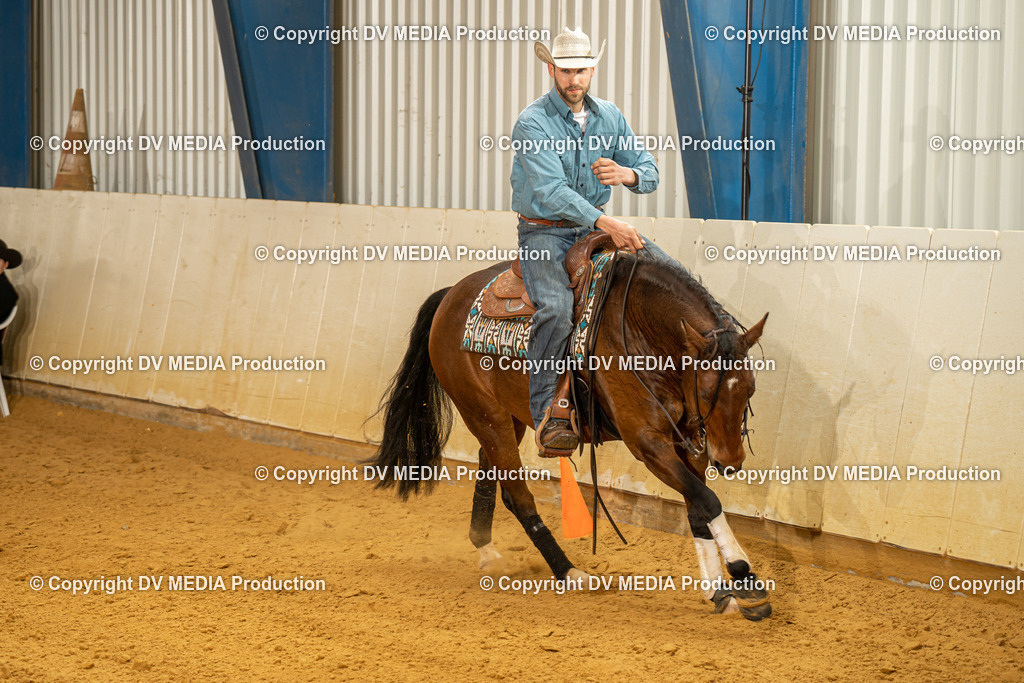 MIT01303 | dv-media-shop - Realisiert mit Pictrs.com