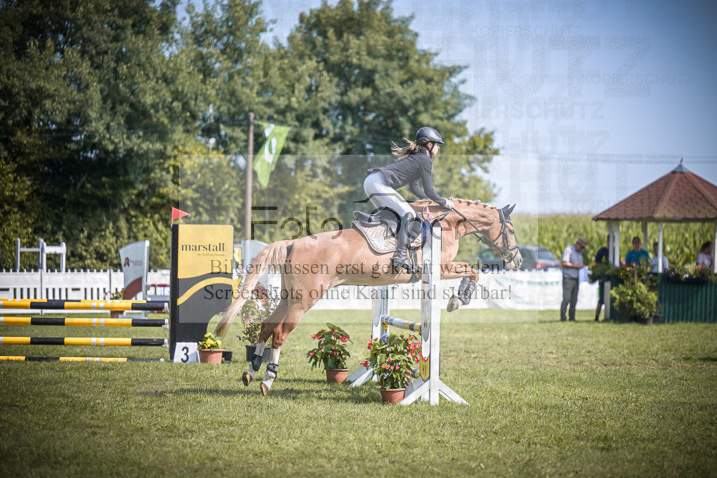 DOS_3160 | Entdecke hochwertige Reitturnierfotos von Foto Oger. Professionell, emotional und authentisch – jetzt Lieblingsmomente im Shop bestellen.Deutschlandweite Turnierfotografie. - Realisiert mit Pictrs.com