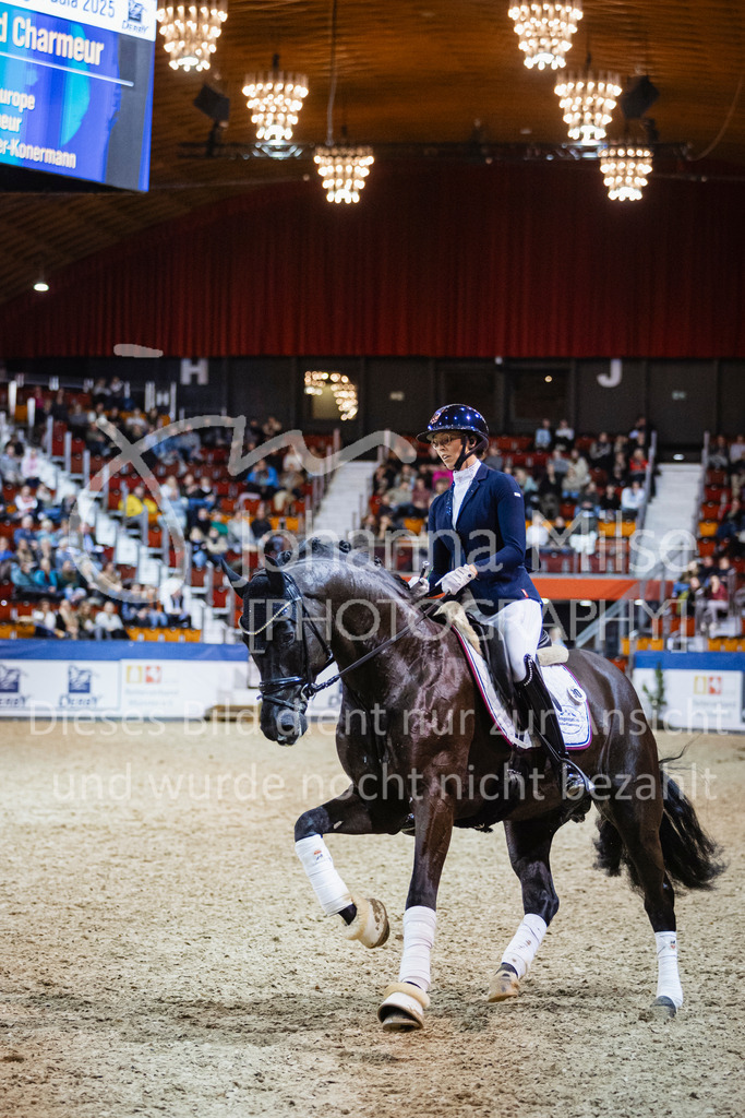 250108_Muenster_Hengstpräsentation-159 | Deine schönsten Turniermomente als professionelle Fotos! Entdecke hochwertige Pferdesport-Fotografie im Online-Shop. Jetzt Fotos finden & bestellen!