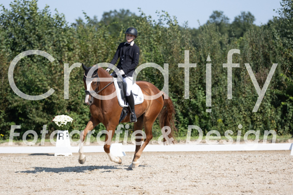 IMG_5544 | Creatify Fotografie